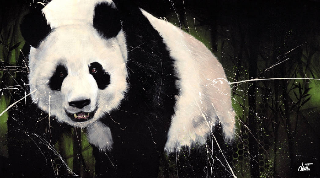 Panda couleur