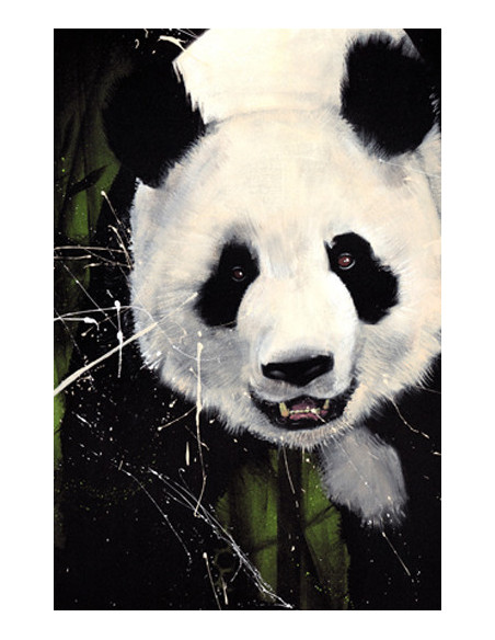 Panda couleur